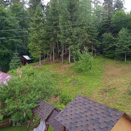 домашній затишок ホームステイ *