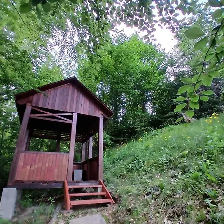 Homestay домашній затишок *