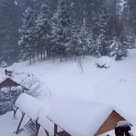 домашній затишок Homestay