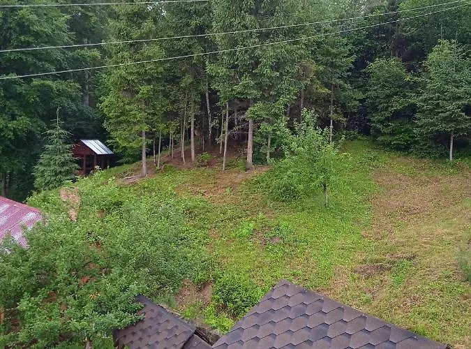домашній затишок Accommodatie bij particulieren *