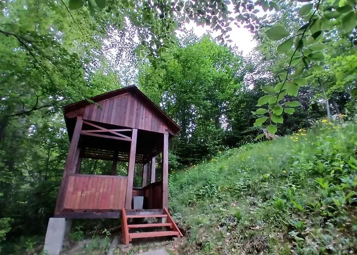 Accommodatie bij particulieren домашній затишок *