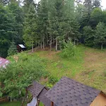 домашній затишок Alloggio in famiglia *
