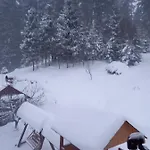 домашній затишок Alloggio in famiglia